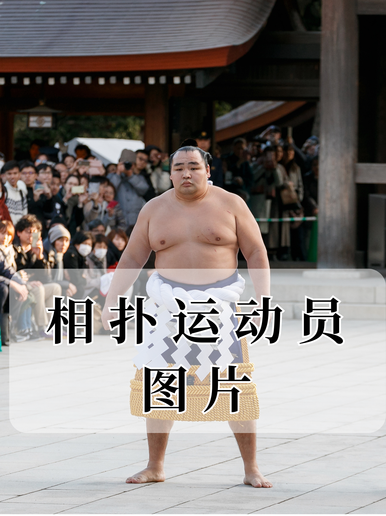 开云体育下载网页版-运动员技术展示:一杆定江山的经典瞬间的简单介绍