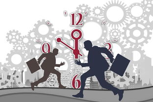 开云体育客户端-中国篮球职业联赛赛事组织与风险管理研究,中国篮球协会竞赛管理办法