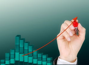 开云体育保障-中小学体育活动管理优化策略,如何加强中小学体育教学质量的管理