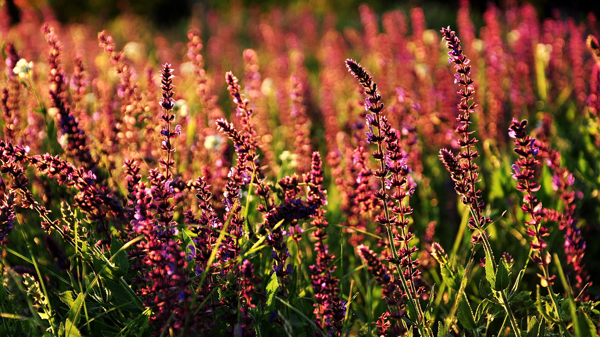 开云体育官方网站-科学运动鞋设计助力乒乓球选手提升灵活性,乒乓球比赛用鞋