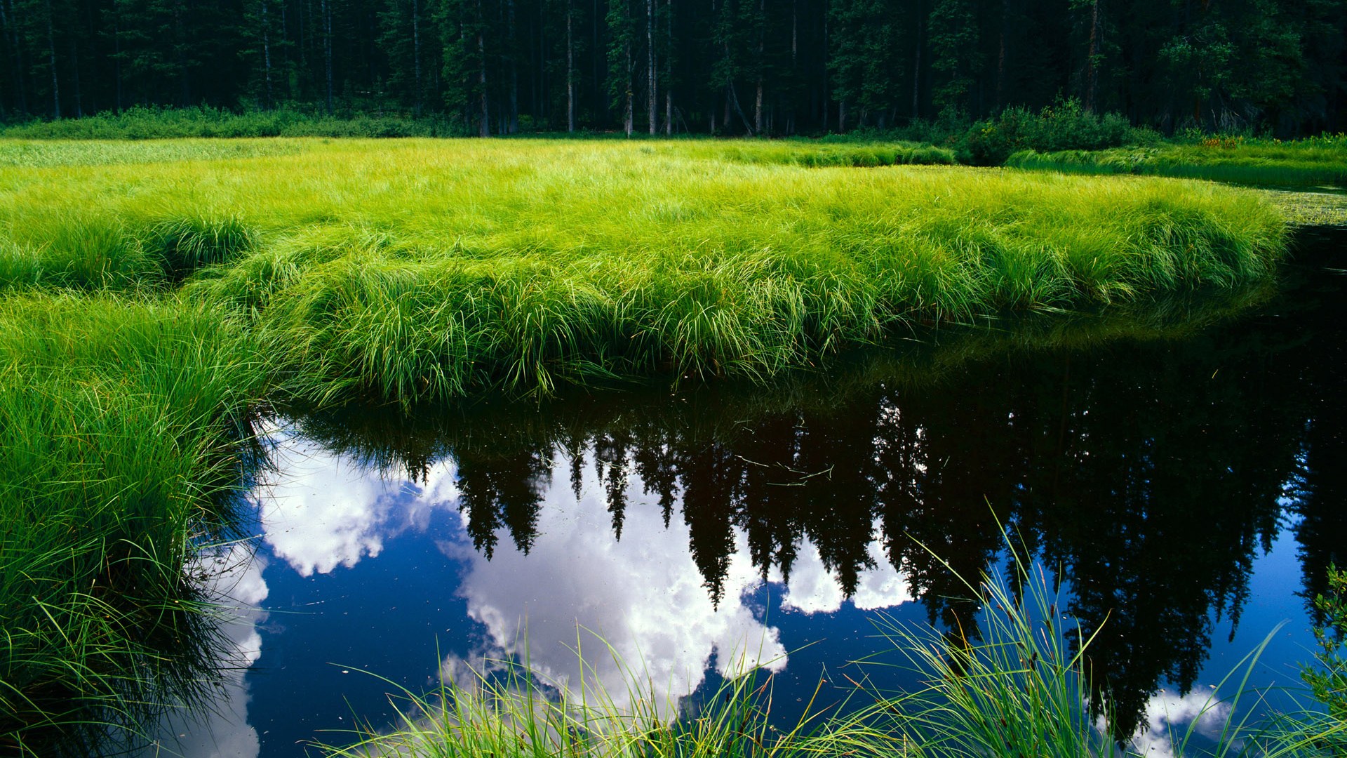 开云体育安全平台-青少年篮球推动比赛规则标准化提升公平竞争，青少年篮球比赛年龄限制