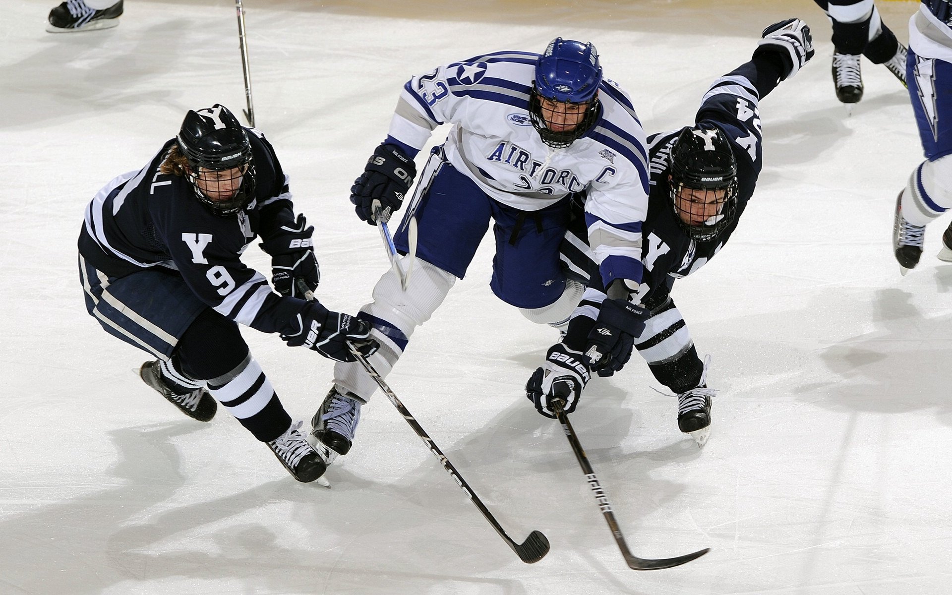 摩洛哥马术协会与国际马术联合会合作，举办国际马术交流活动，促进技术交流。
