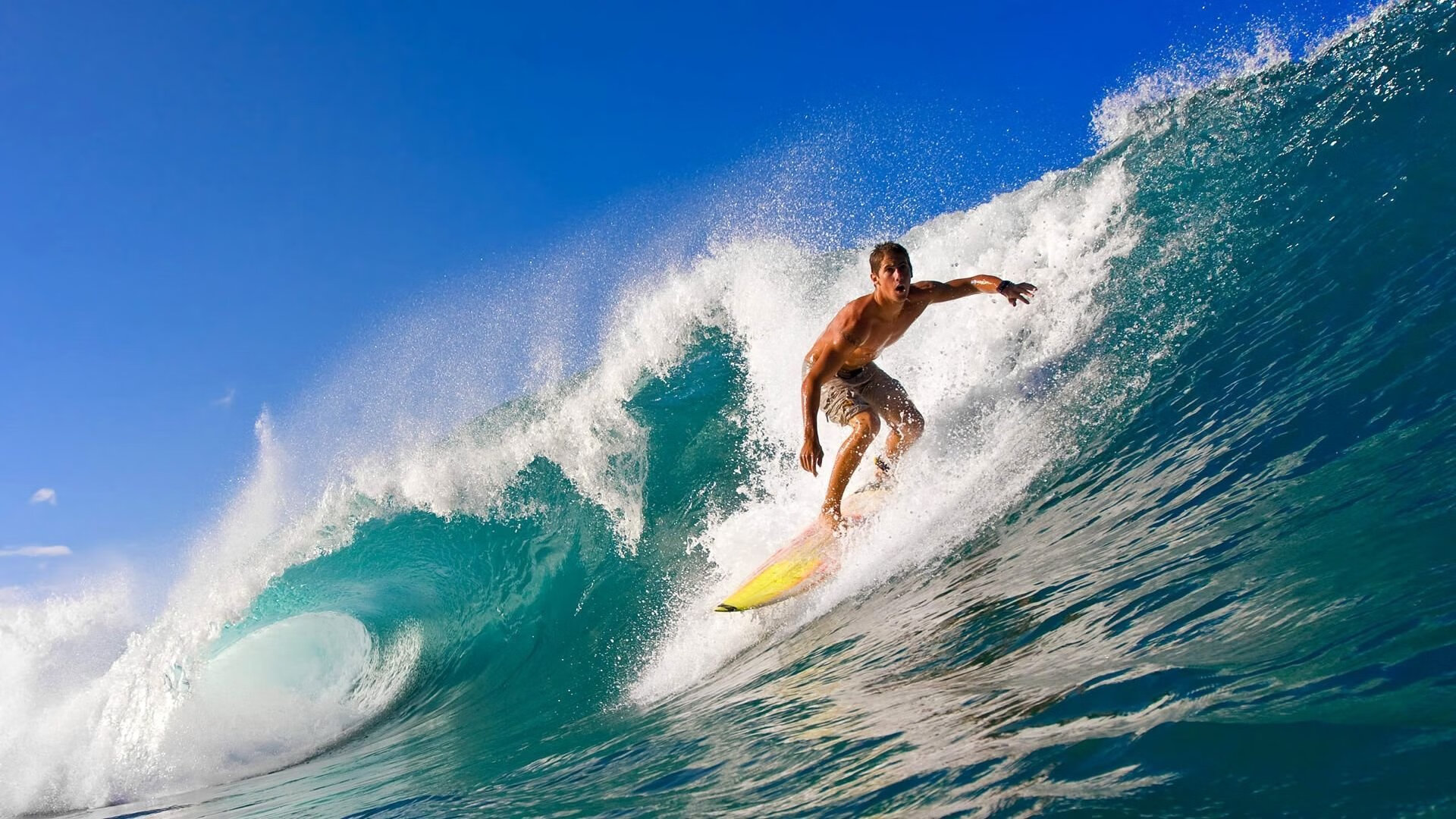 未来“足球精英”闪耀欧冠，明日之星崭露头角，精英未来足球俱乐部